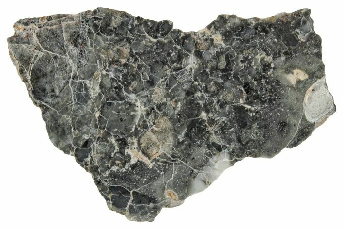 Polished Lunar Meteorite ( g) Slice - Adrar #355993